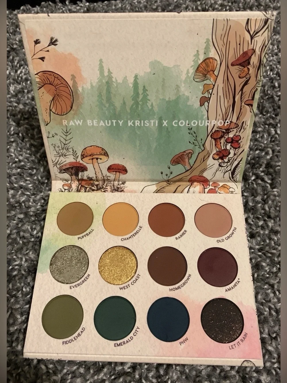 ColourPop Raw Beauty Kristi At Forest Sight eyeshadow palette Limited Edition